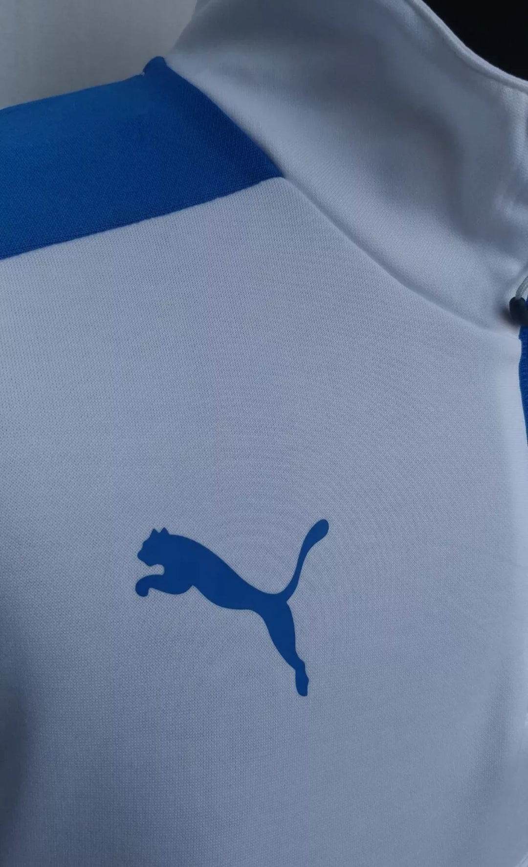 Italy 2016/2017 Puma Technical Training Top Mens XL