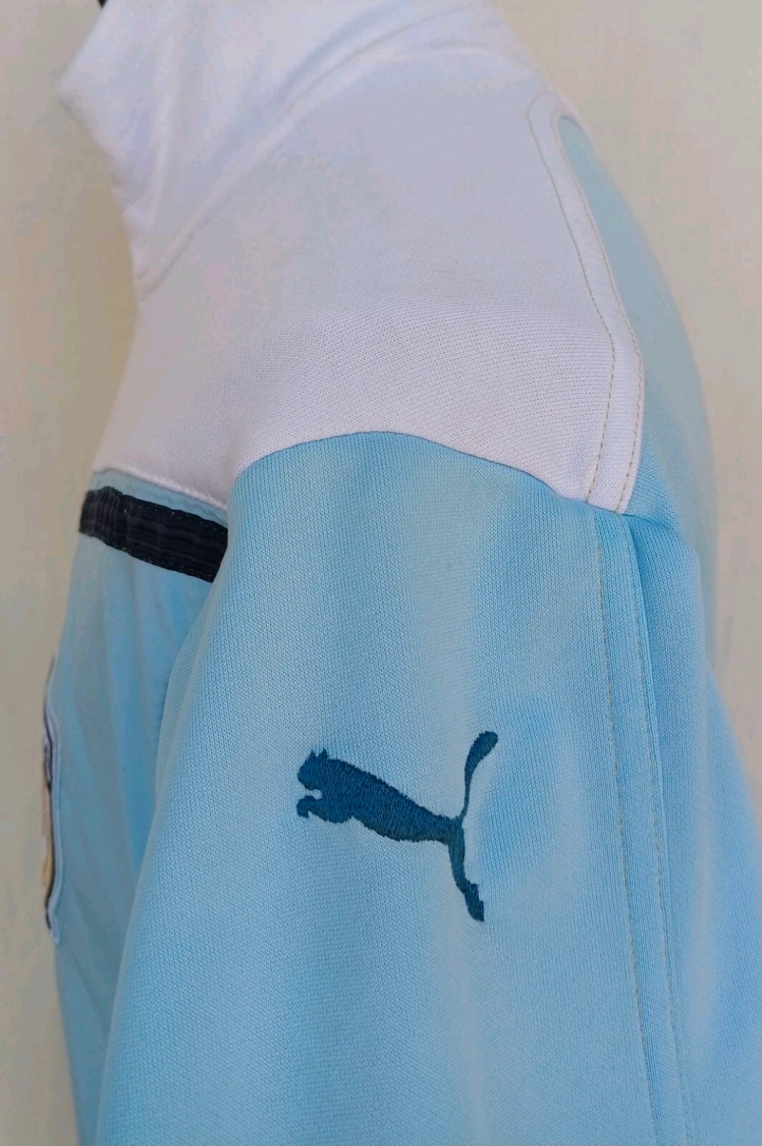 Diego Maradona 2010 #10 Puma King Zip Track Top Jacket Mens M