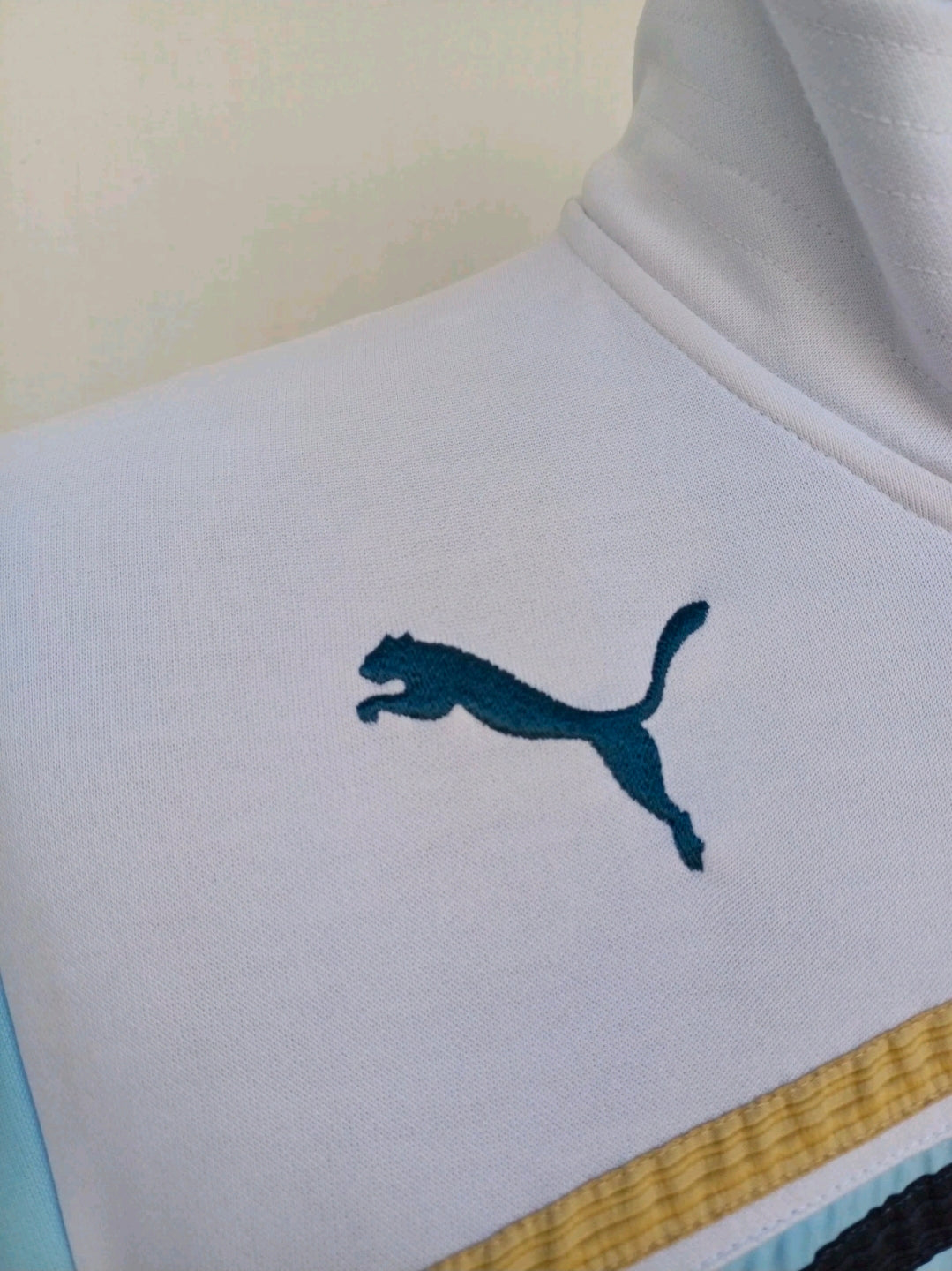 Diego Maradona 2010 #10 Puma King Zip Track Top Jacket Mens M